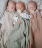 Pacifiers twilight Mauve/Blush