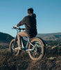 Nomad 1 plus ebike
