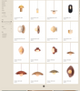 Minareau - Collection page