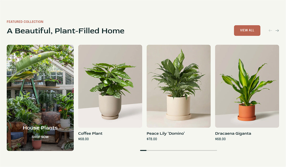 Featured collection 8-2