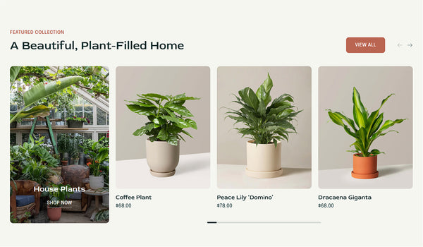 Featured collection 8-2