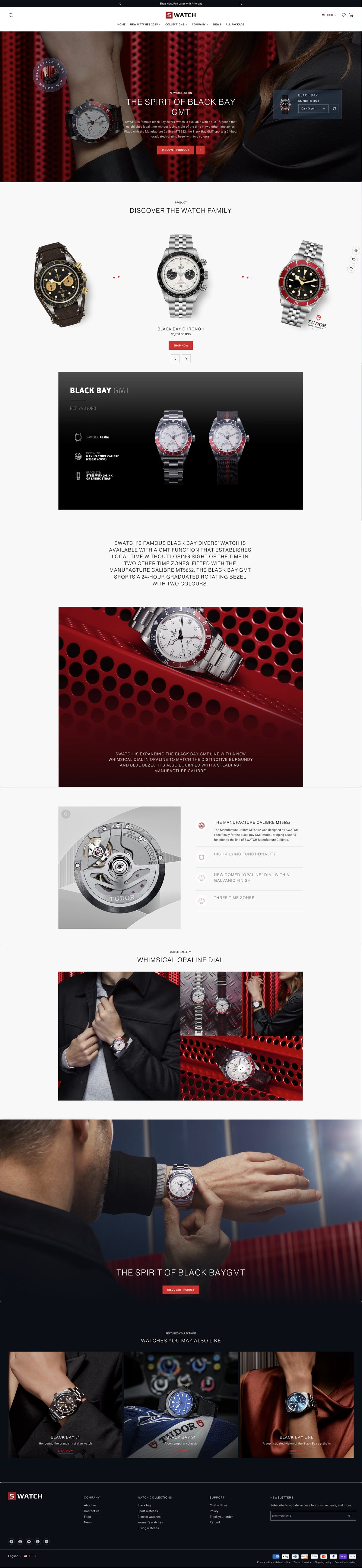 Swiss watch - Landing page