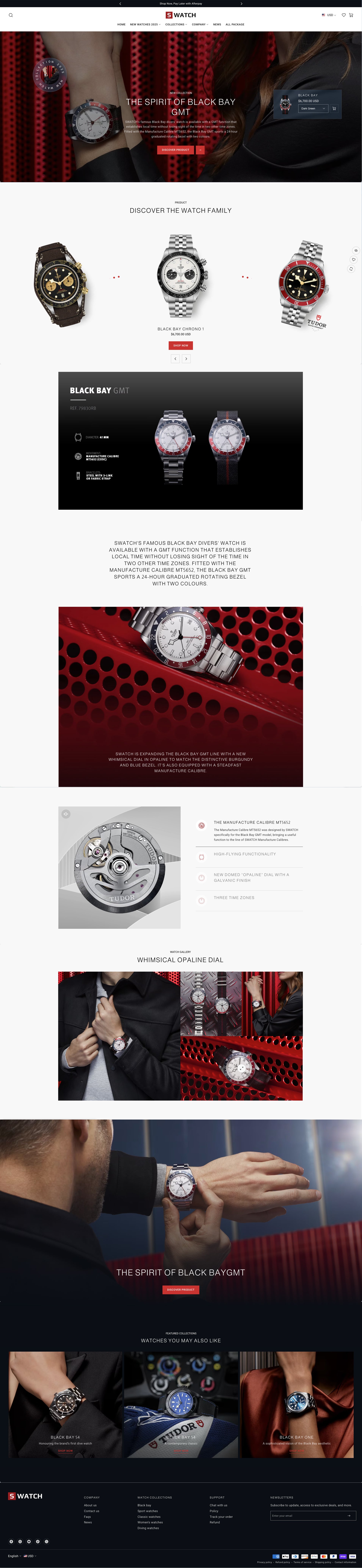 Swiss watch - Landing page