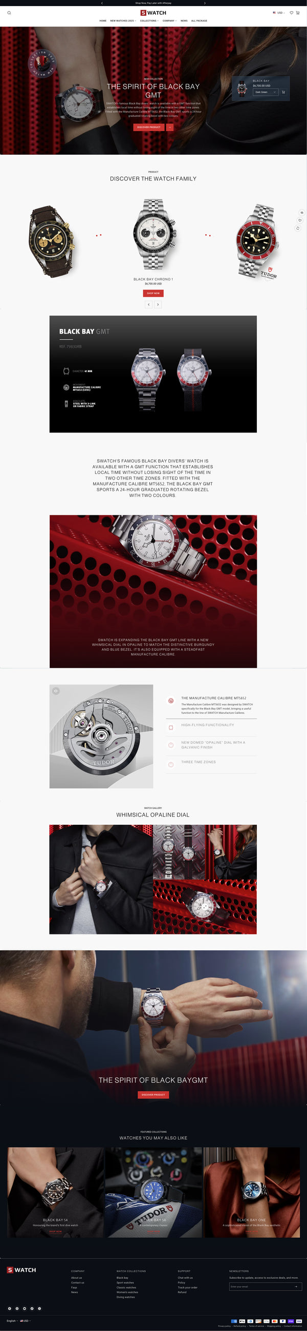 Swiss watch - Landing page
