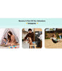 Gallery 2-7
