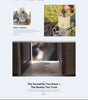 Hardware and automotive 1 - Homepage