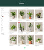 Outdoor and garden 1 - Collection page