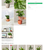Outdoor and garden 1 - Product page