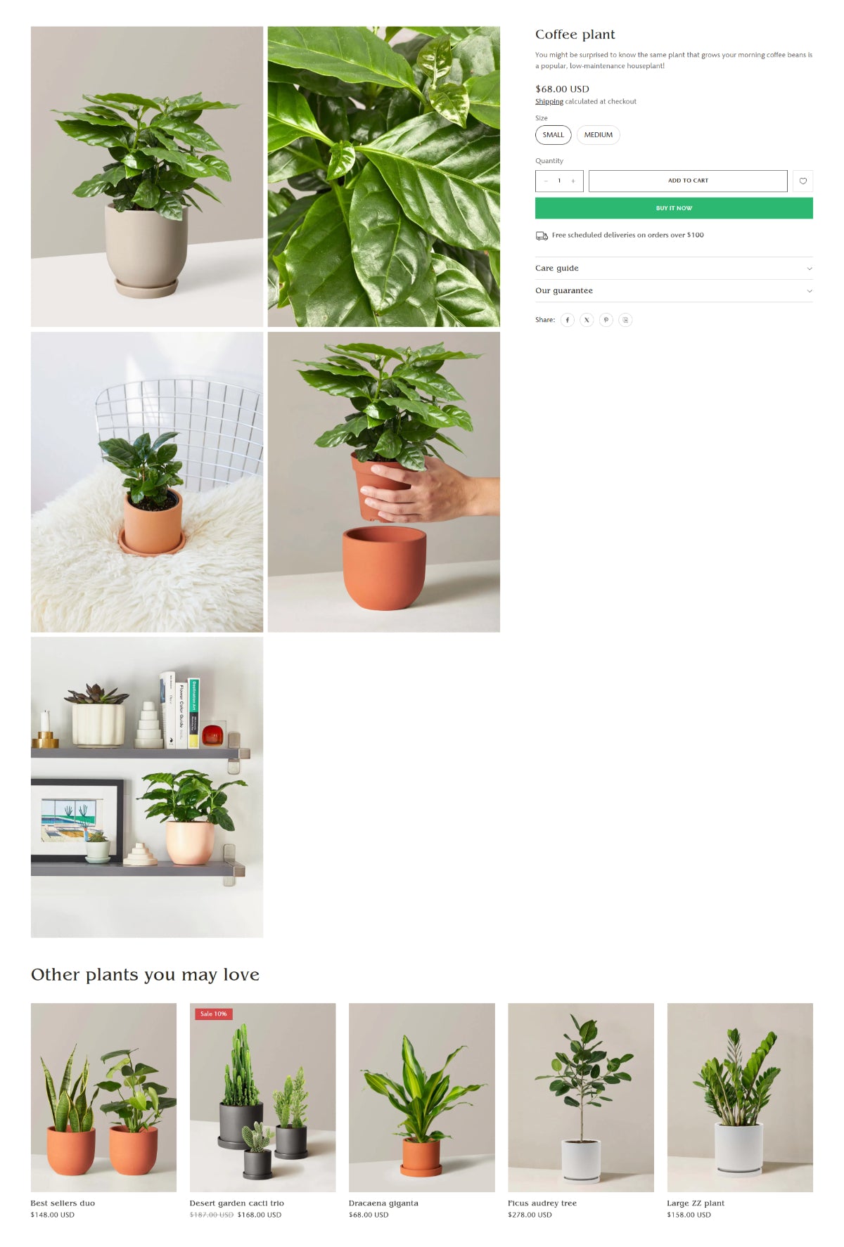 Outdoor and garden 1 - Product page