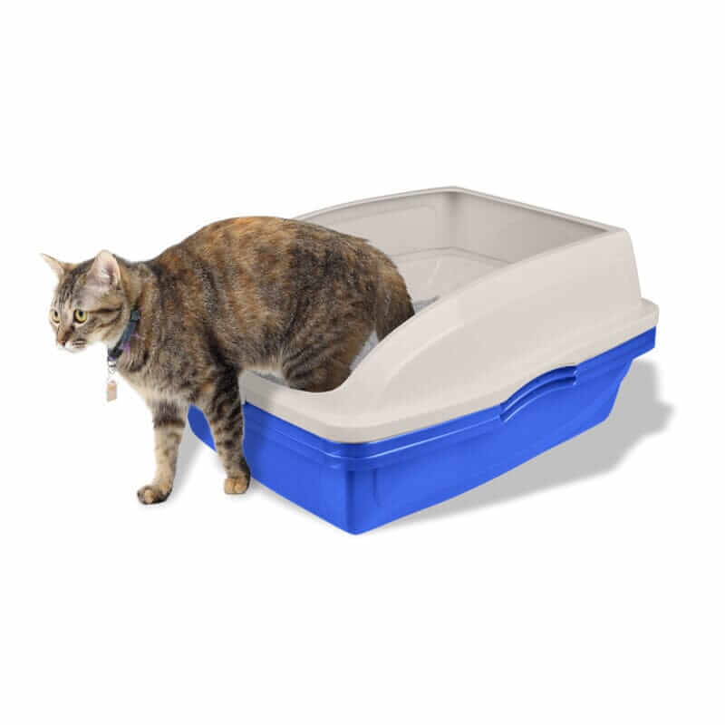 Sifting cat litter pan or box with frame