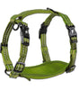 Adventure dog harness