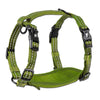 Adventure dog harness