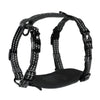 Adventure dog harness