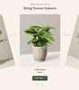 Featured collection 12-2