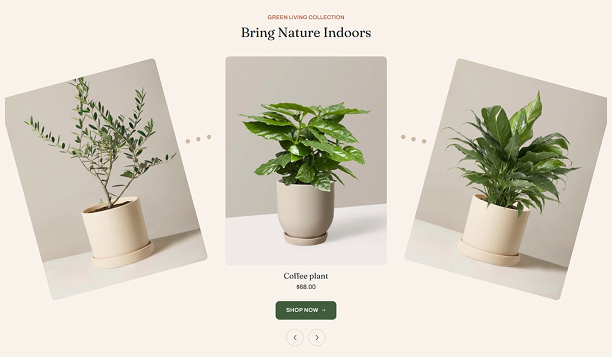 Featured collection 12-2