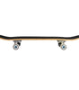 Progression 7.5" skateboard deck