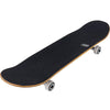 Rasta royal 8.5" skateboard