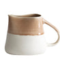 Pitcher maguelone
