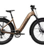 Electric Cruiser Bikes