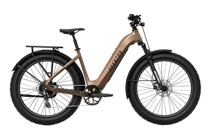 Electric Cruiser Bikes