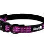Dog collar stitching