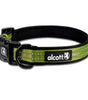 Dog collar stitching