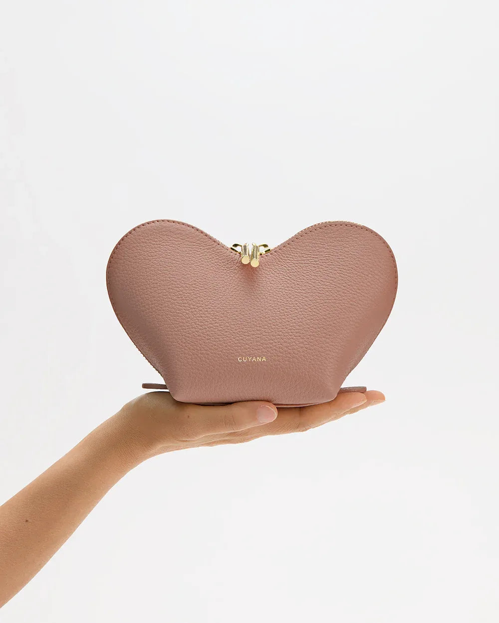 a Mini heart case