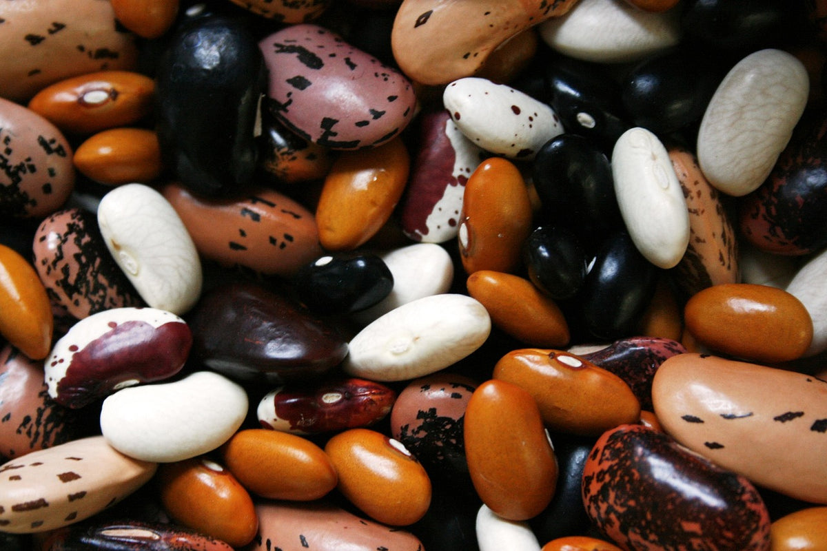 Heirloom Dried Beans