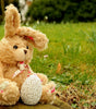 Floppy-Ear Plush Bunny