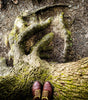 Trail Hiking Shoes