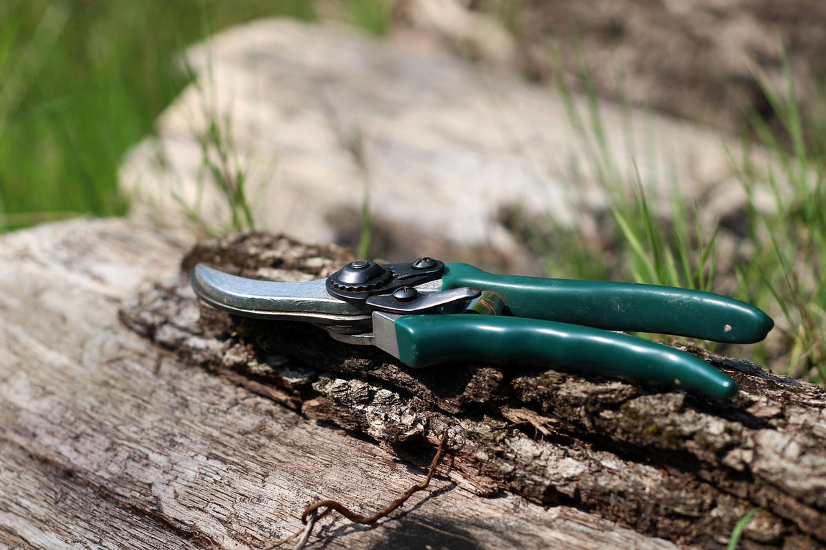 Bypass Pruning Shears