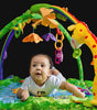 Wooden Baby Play Gym