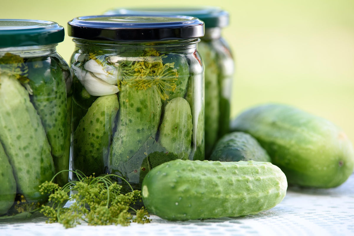 Insulated Food Jar