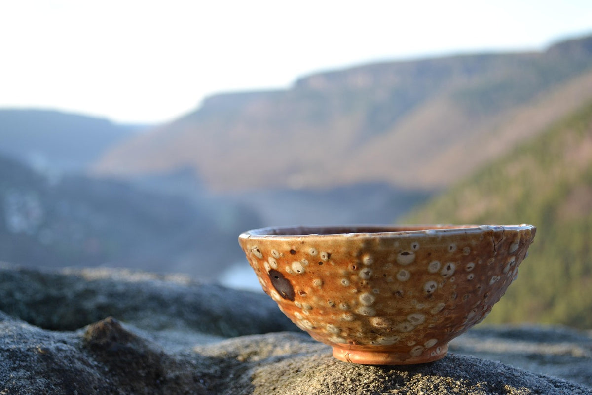 Speckled Stoneware Dinnerware Set