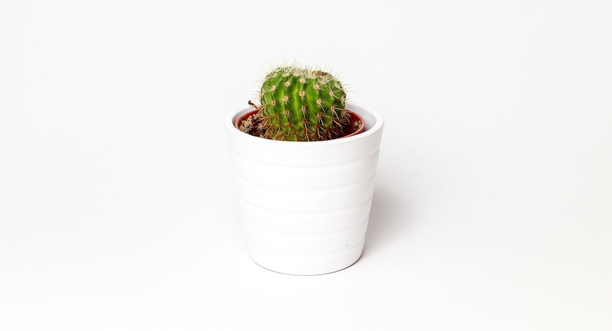 Glazed Planter with Drainage