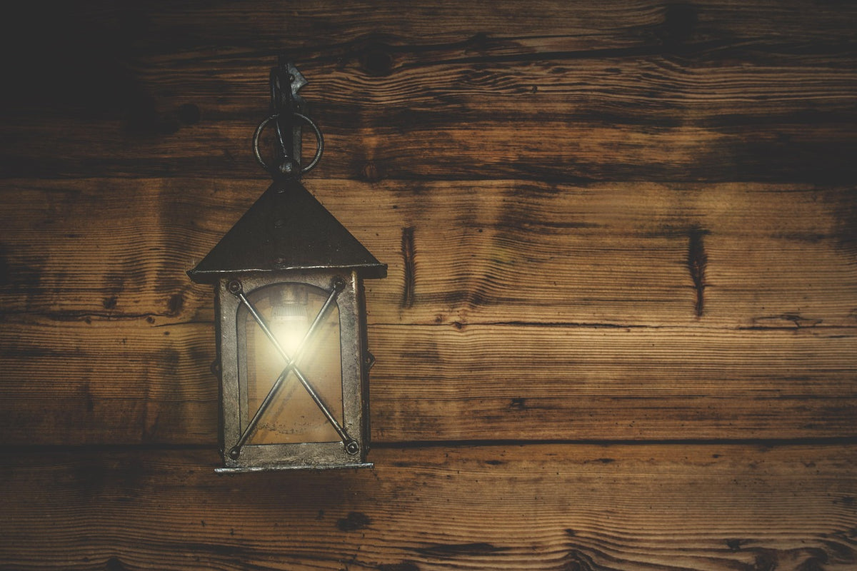 Swing Arm Plug-In Wall Sconce