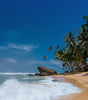 Pure Coconut Water
