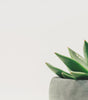 Glazed Planter with Drainage