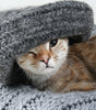 Heirloom Merino Wool Blanket