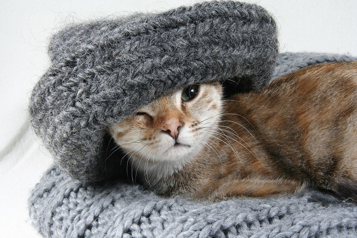 Heirloom Merino Wool Blanket
