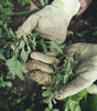 Goatskin Gardening Gloves