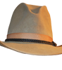 Wool Felt Fedora