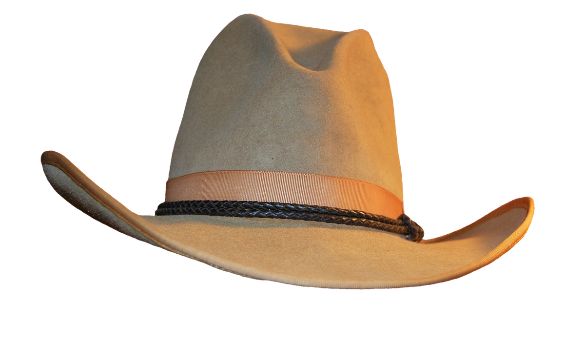Wool Felt Fedora