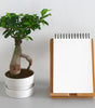 Mid-Century Plant Stand