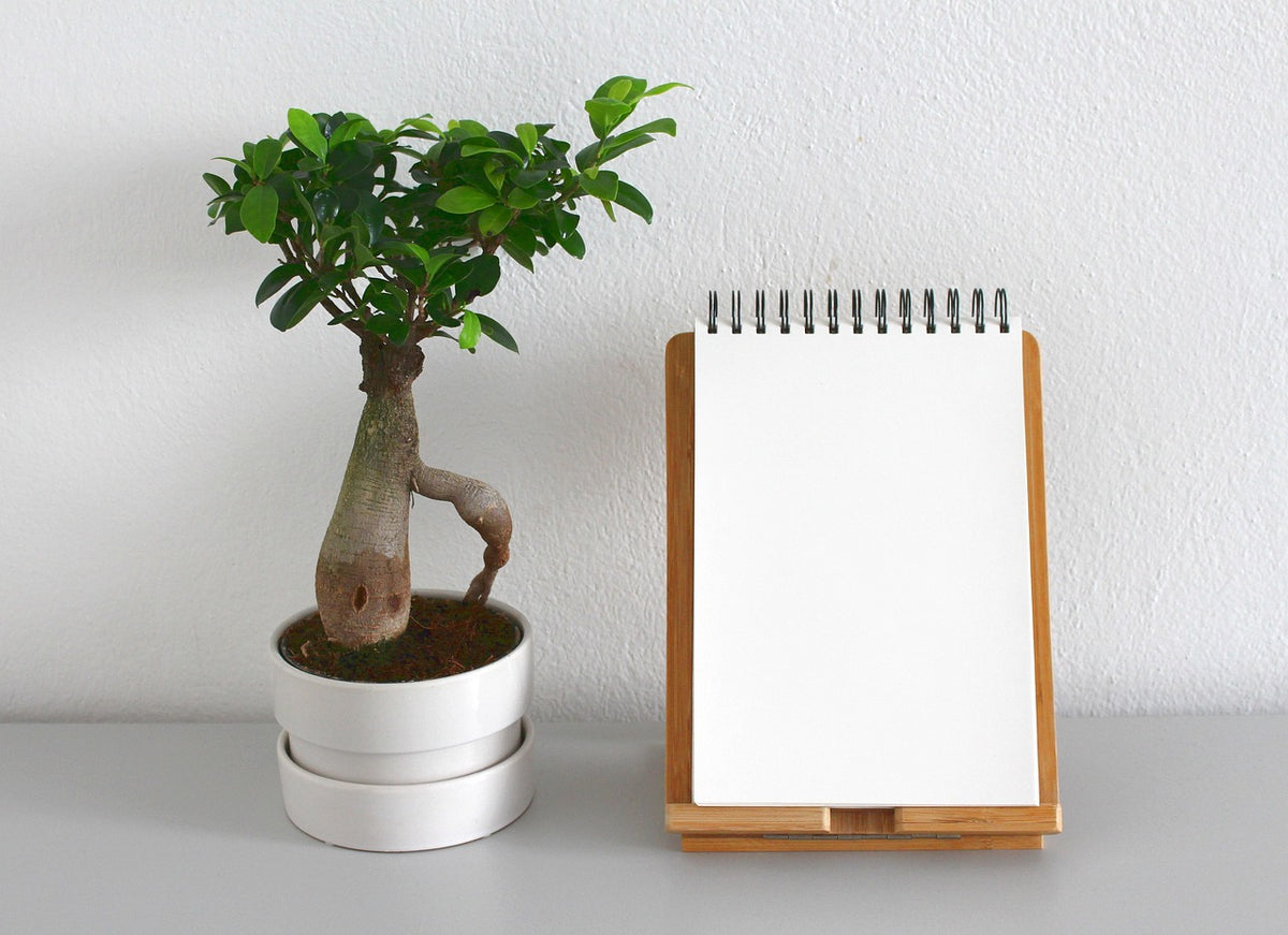 Mid-Century Plant Stand