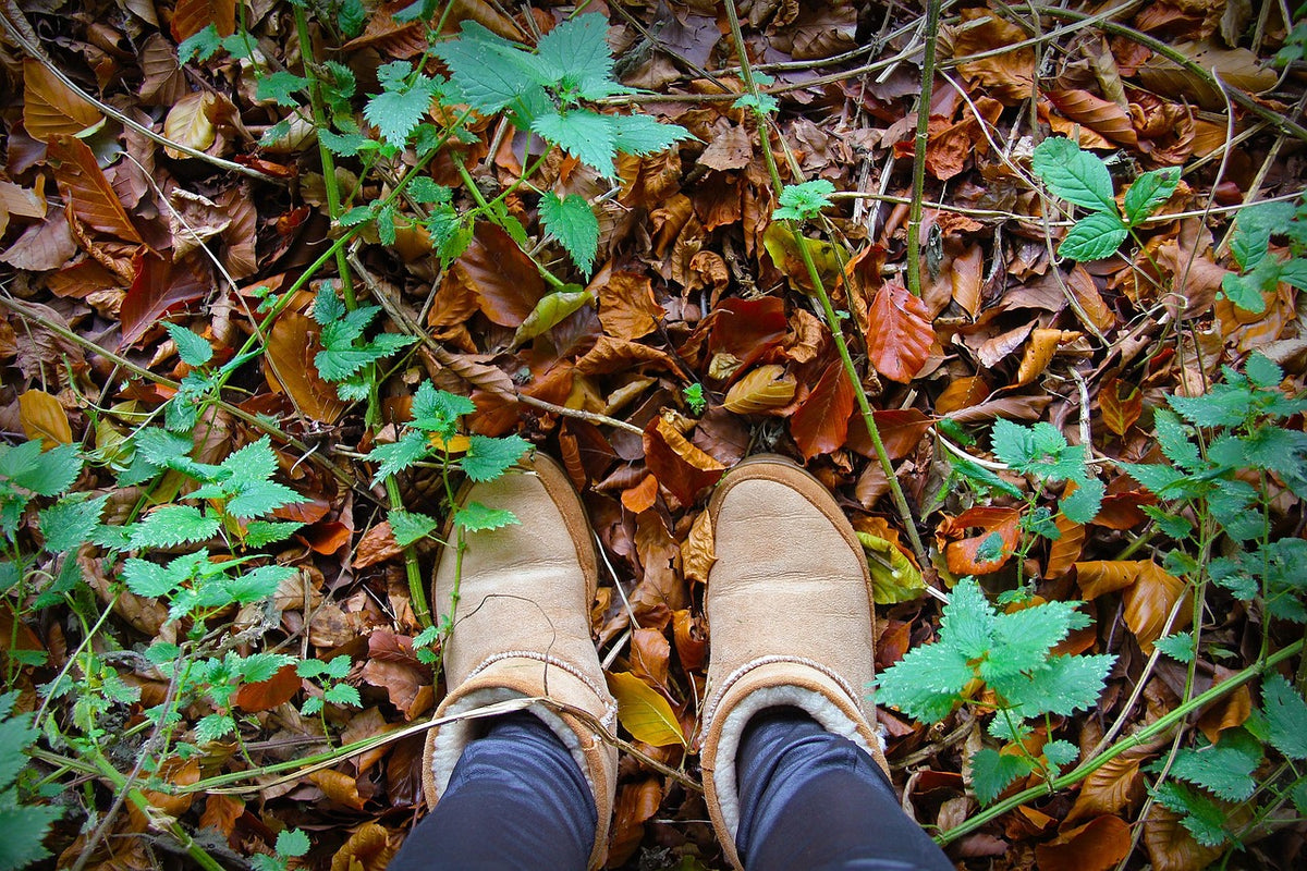 Suede Chelsea Boots