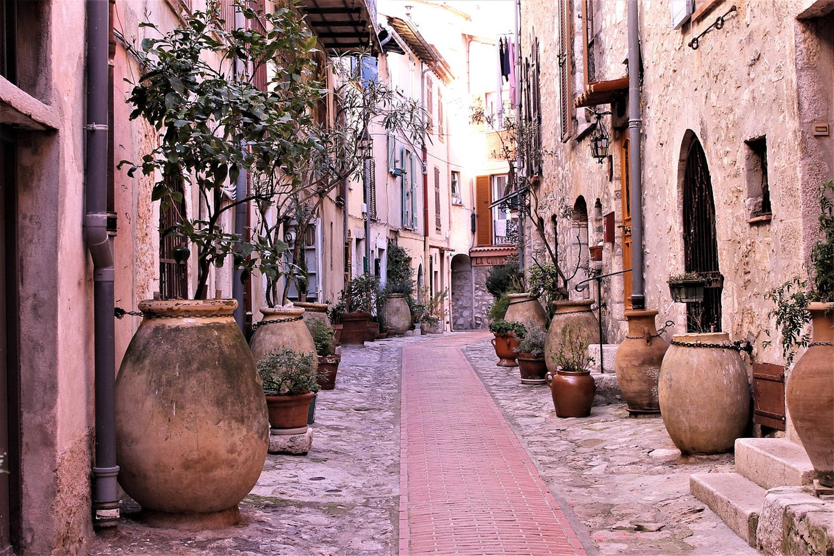 Faux Olive Tree in Pot