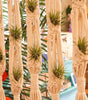 Macramé Hanging Planter