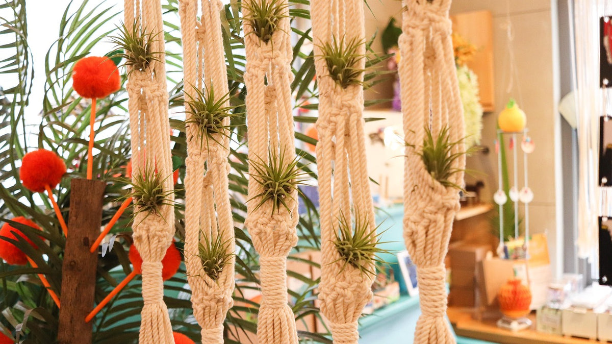 Macramé Hanging Planter