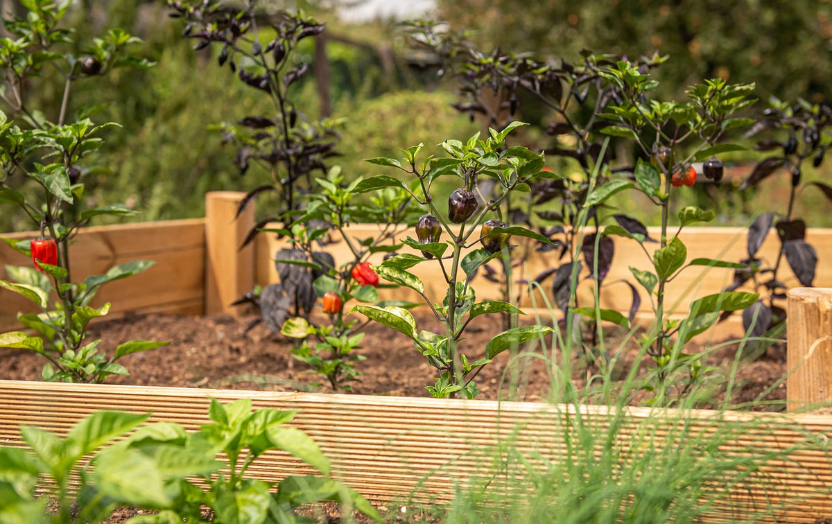 Cedar Raised Garden Bed